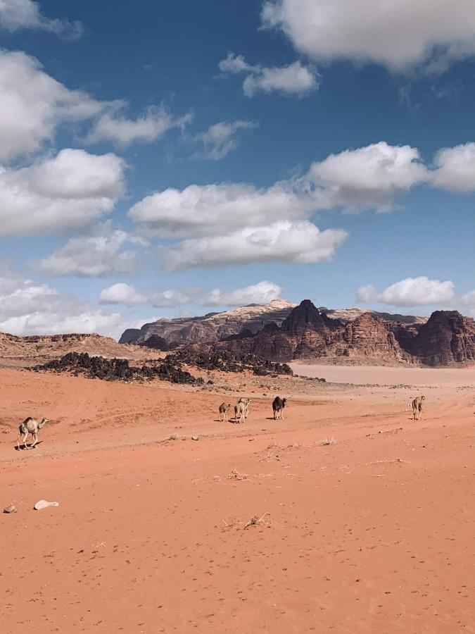 Wadi Rum Story Bagian luar foto